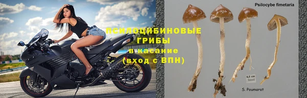 первитин Майский