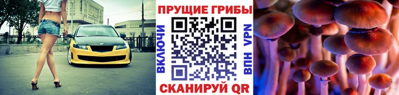 Псилоцибиновые грибы MAGIC MUSHROOMS hydra зеркало Устюжна